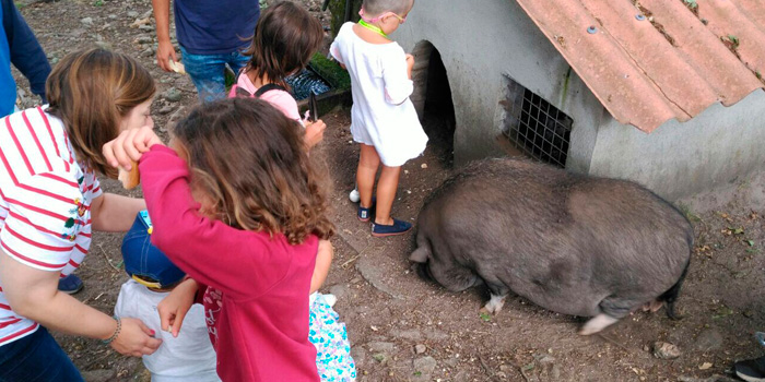 Visita Granja Kiriko