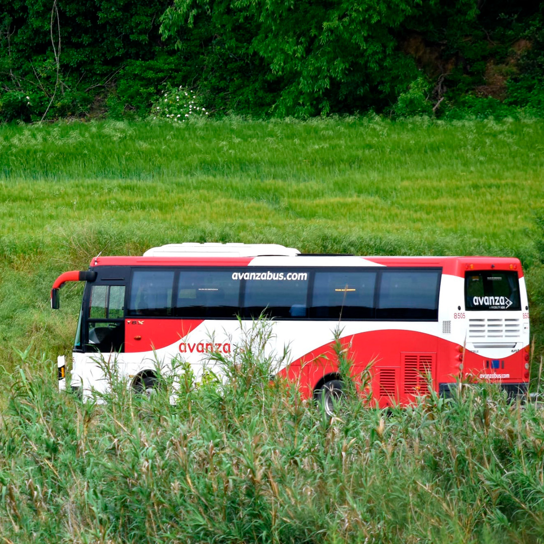 Camino de Barbastro