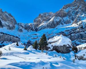 Pirineos